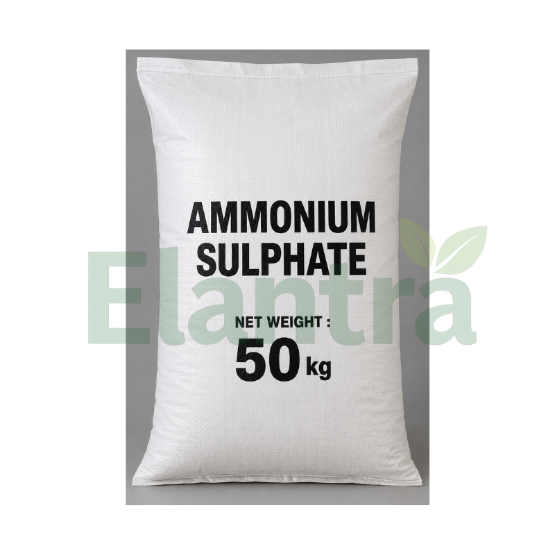 AMMONIUM SULPHATE
